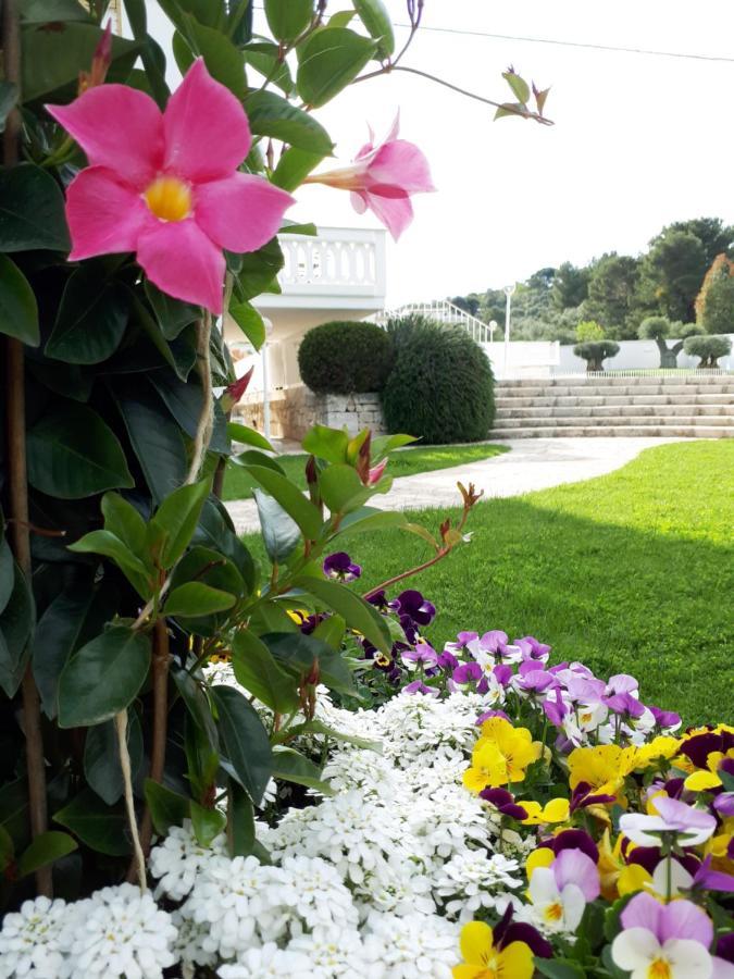 Villa Natia 모톨라 외부 사진